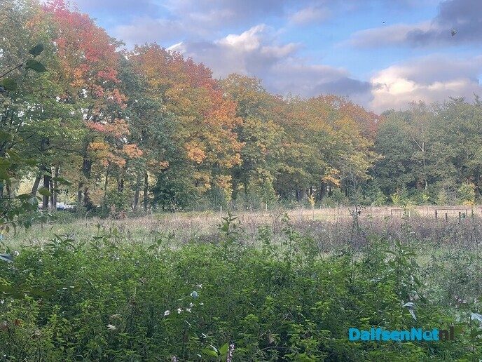 Even wat omgevingsfoto’s - Foto: Willy