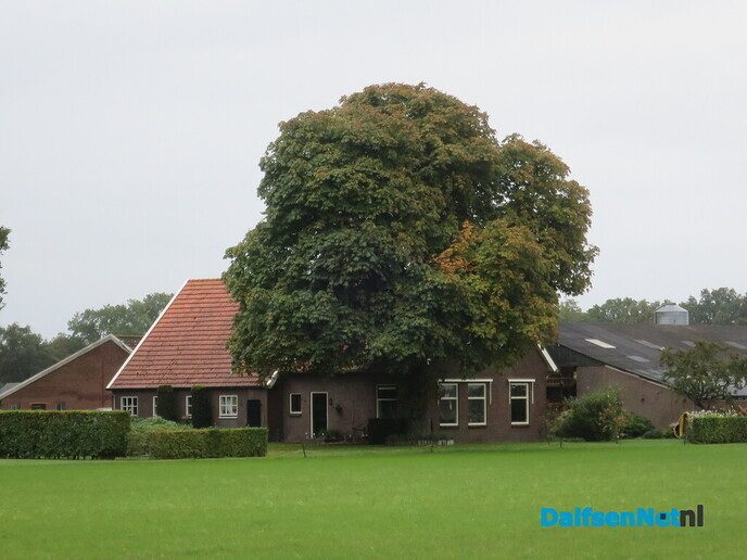Het is nog donker in Hoonhorst, ik ga toch wandelen - Foto: Wim