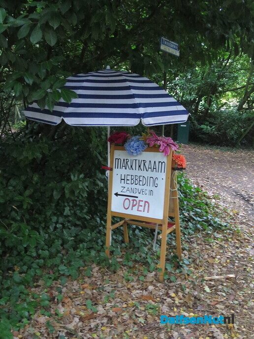 Het is nog donker in Hoonhorst, ik ga toch wandelen - Foto: Wim