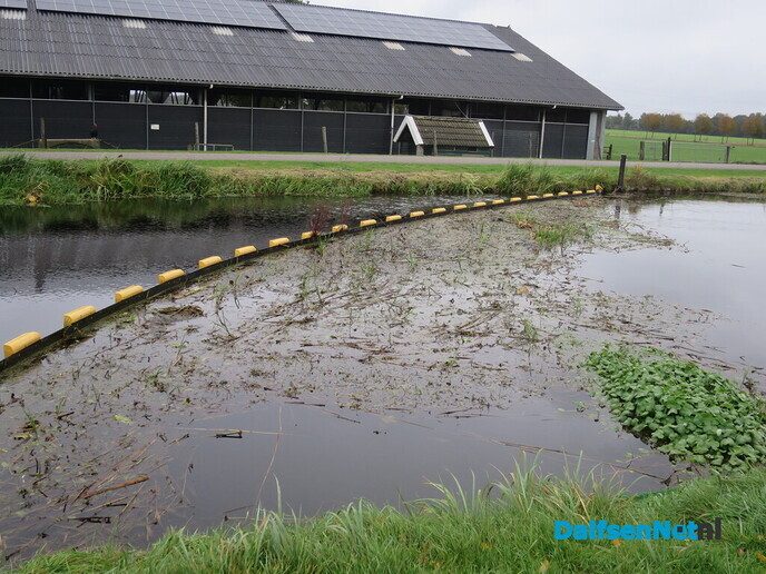 Het is nog donker in Hoonhorst, ik ga toch wandelen - Foto: Wim