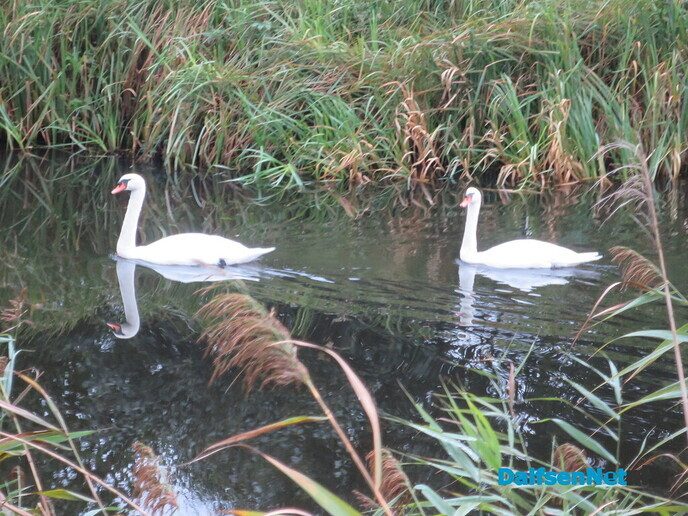 Het is nog donker in Hoonhorst, ik ga toch wandelen - Foto: Wim
