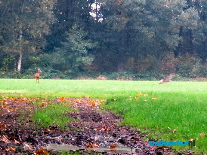 Vandaag, zaterdag, een 2 G wandeling voorbereiden - Foto: Wim