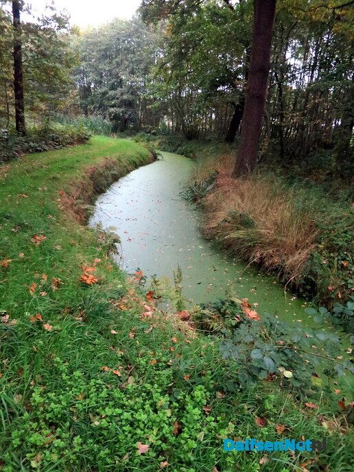 Vanmorgen weer een mooie 2 G wandeling, lang, uitgezet - Foto: Wim