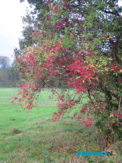 Wandeling, eerst droog, dan veel regen - Foto: Wim