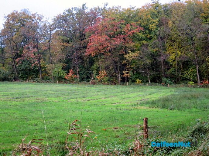 Wandeling, eerst droog, dan veel regen - Foto: Wim
