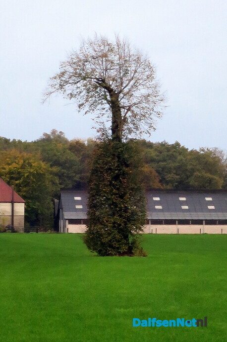 Wandeling, eerst droog, dan veel regen - Foto: Wim