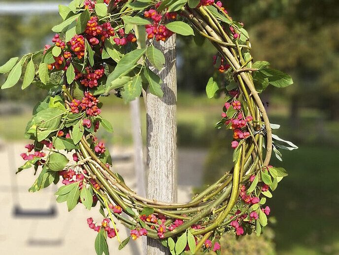 Maak een herfstkrans of pompoen bij Rondje Groen, doen! - Foto: Ingezonden foto