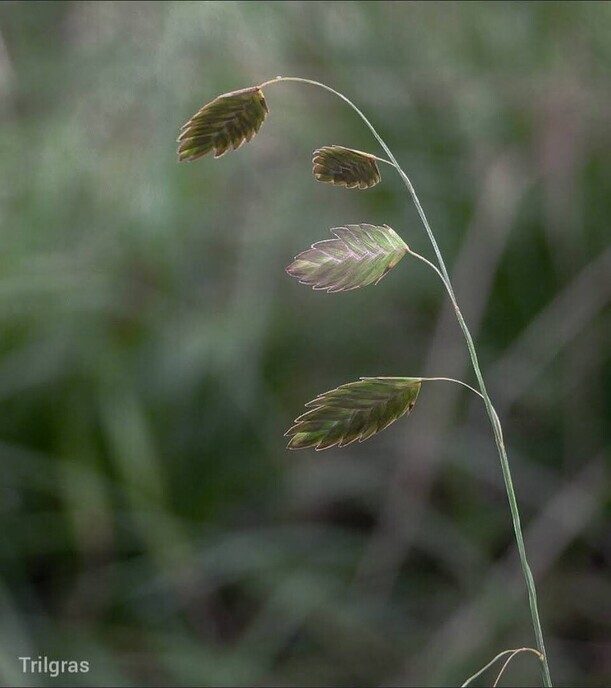 Een leuke variatie aan natuurfoto’s - Foto: Femmie Smink