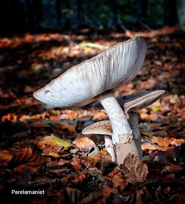 Wandelen op de “Steile Oever” - Foto: Femmie Smink