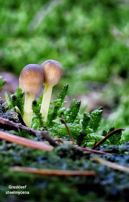 Wandelen op de “Steile Oever” - Foto: Femmie Smink