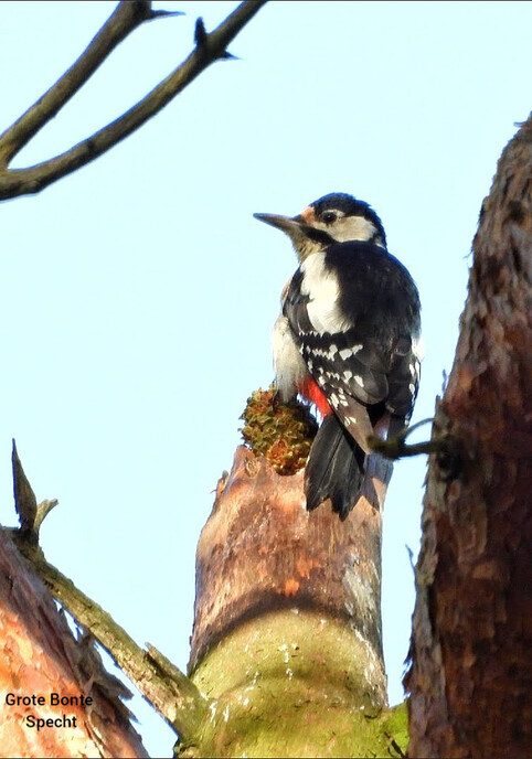 Wandelen op de “Steile Oever” - Foto: Femmie Smink