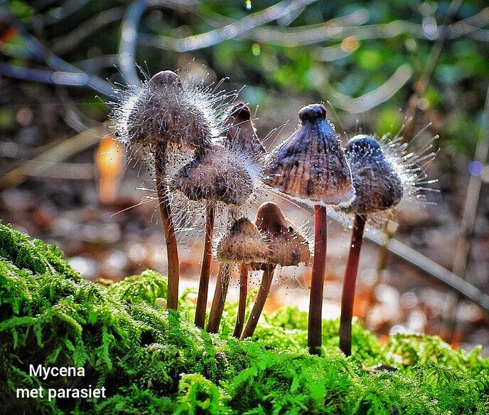 Wandelen op de “Steile Oever” - Foto: Femmie Smink