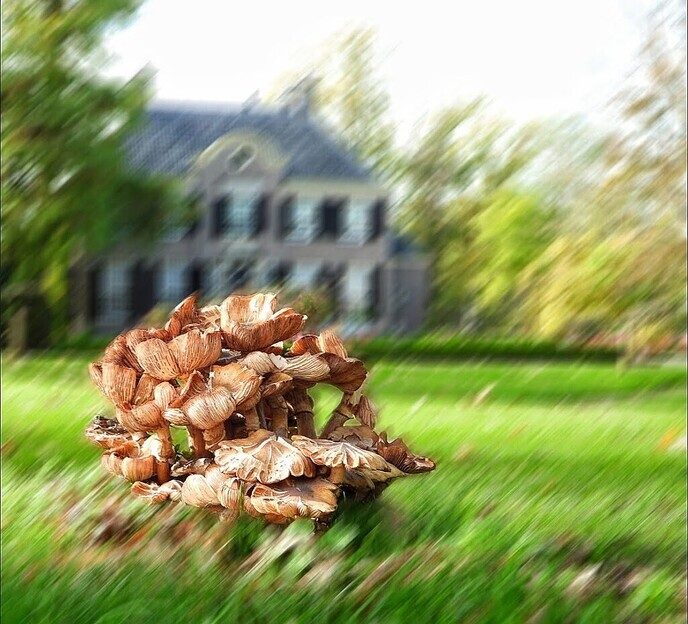 De natuurfotograaf was bij het Dalfser Engelse werk - Foto: Femmie Smink
