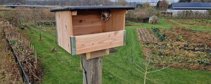Nestkastcamera, leuk