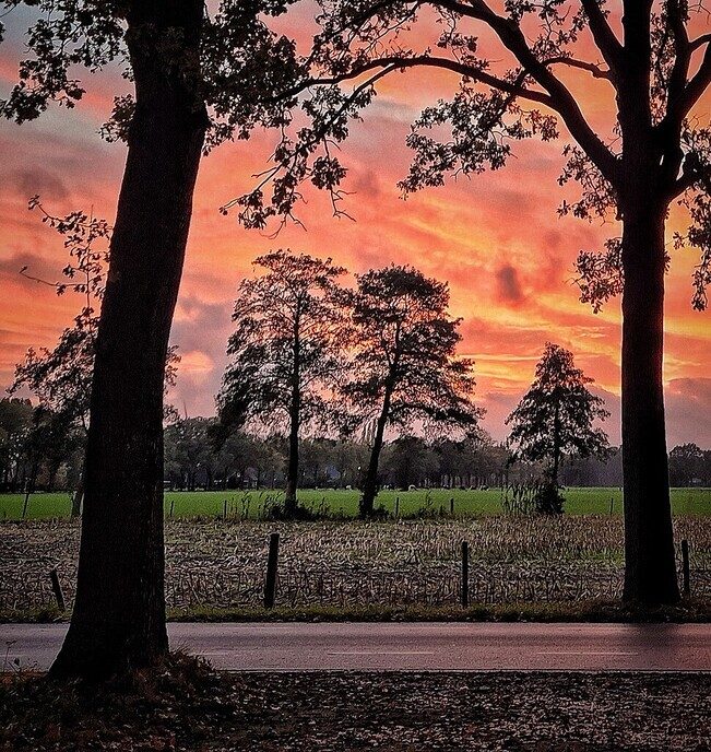 Na regen komt zonneschijn - Foto: Femmie Smink