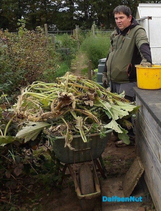 Je eigen groente en fruit of bloemen verbouwen - Foto: Willy