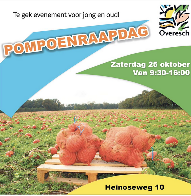Pompoenraapdag zaterdag 25 oktober tegen voedselverspilling