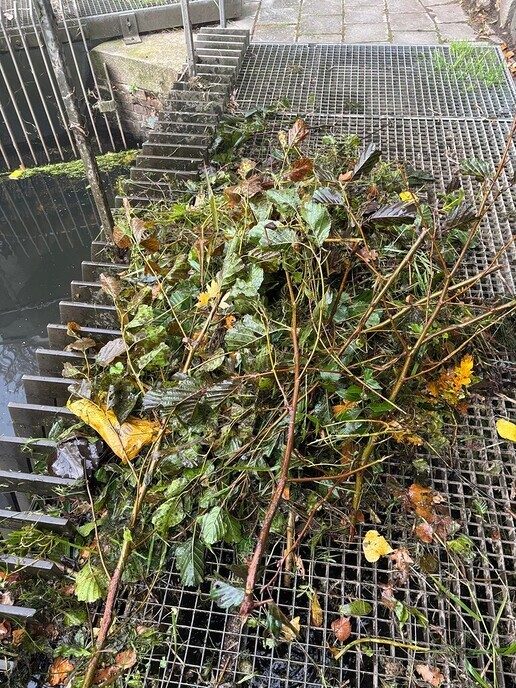 Waterschap heeft last van wegwaaiend snoeiafval - Foto: Ingezonden foto