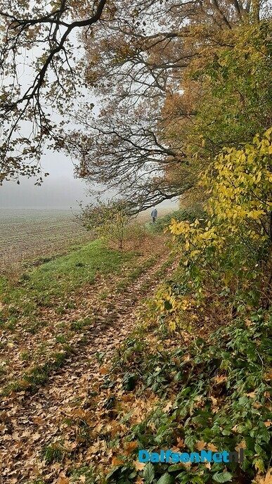 Een misterieuze wandeling - Foto: Jennie Kanis