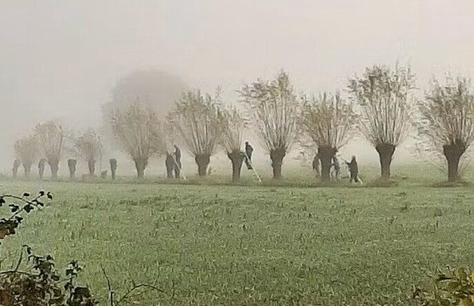 Een misterieuze wandeling - Foto: Jennie Kanis