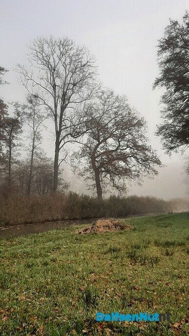 Een misterieuze wandeling - Foto: Jennie Kanis