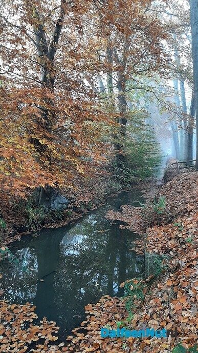 Een misterieuze wandeling - Foto: Jennie Kanis