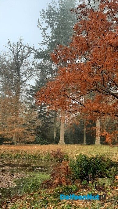 Een misterieuze wandeling - Foto: Jennie Kanis