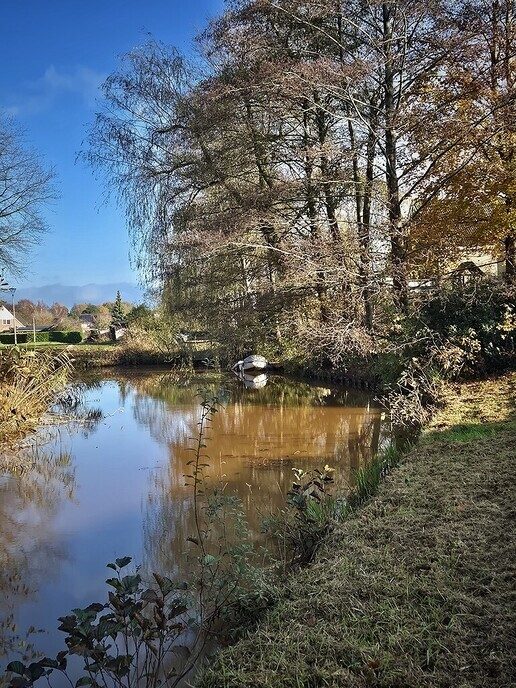 Hele mooie foto’s van onze natuurfotograaf - Foto: Femmie Smink