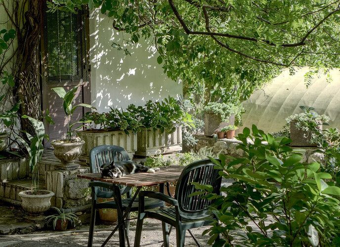 Ruimtegebrek in de tuin? 5 manieren om van je rommelhok een paleisje te maken