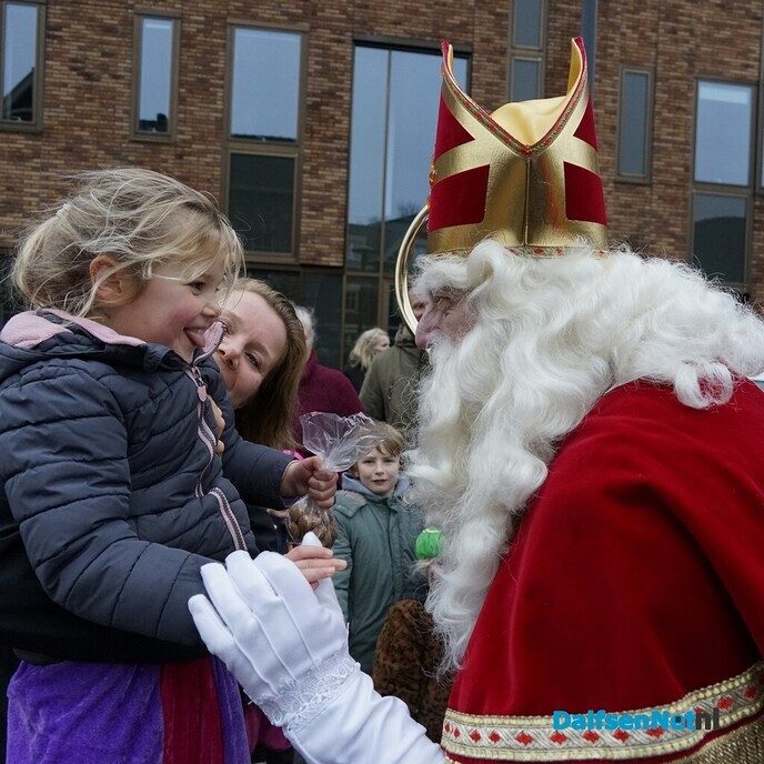 Intocht Sinterklaas in Dalfsen (foto’s) - Foto: Paul Scholten