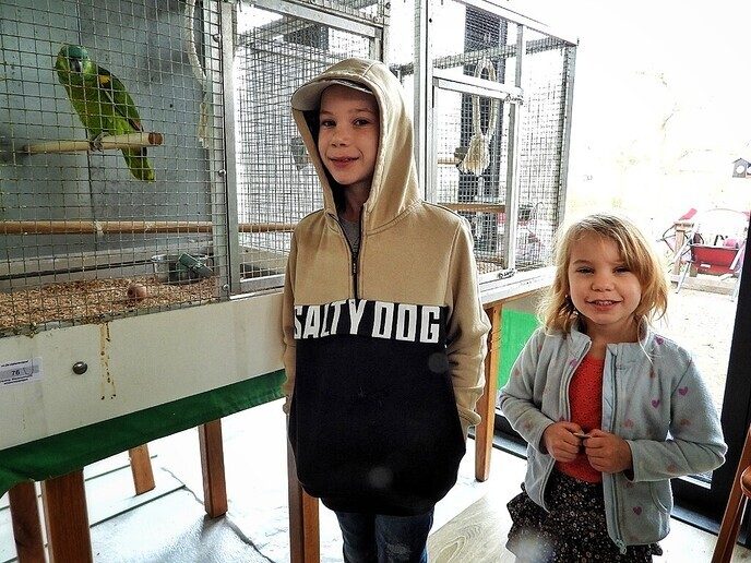 Vogeltentoonstelling Nieuwleusen - Foto: Femmie Smink