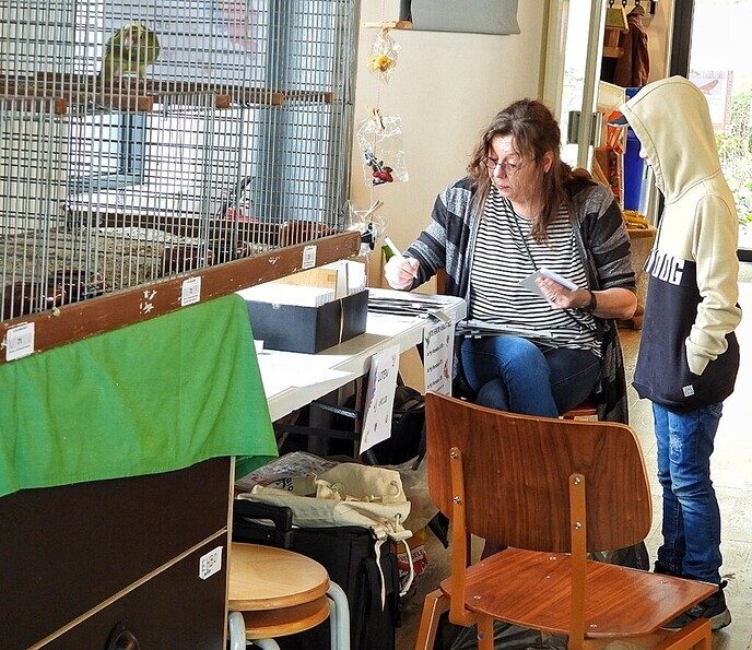 Vogeltentoonstelling Nieuwleusen - Foto: Femmie Smink