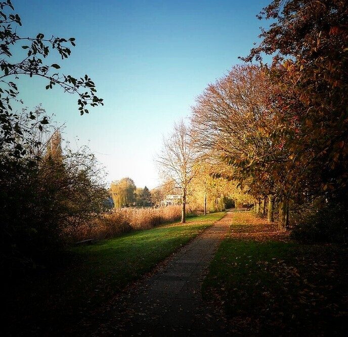 Het blijft een prachtige omgeving, onze eigen Hulsterplas - Foto: Femmie Smink