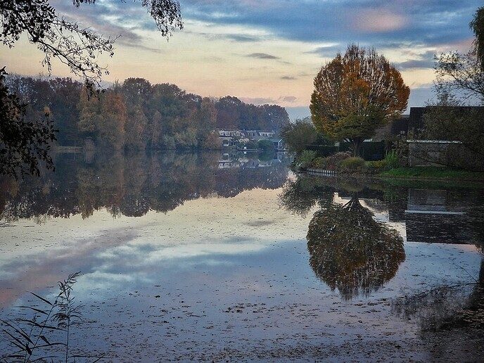 Het blijft een prachtige omgeving, onze eigen Hulsterplas - Foto: Femmie Smink
