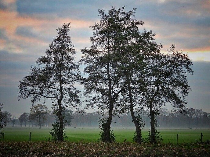 Het blijft een prachtige omgeving, onze eigen Hulsterplas - Foto: Femmie Smink