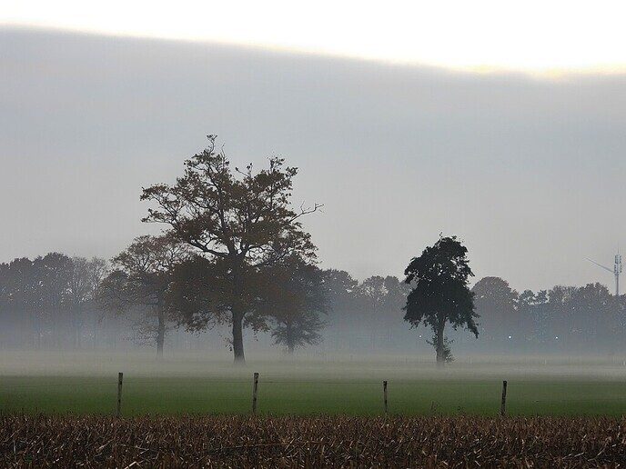 Het blijft een prachtige omgeving, onze eigen Hulsterplas - Foto: Femmie Smink