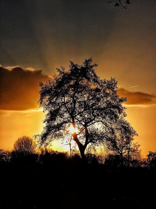 Prachtige zonsondergang - Foto: Femmie Smink
