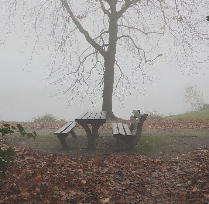 Wandelen in de mist geeft indrukwekkende foto’s - Foto: Femmie Smink