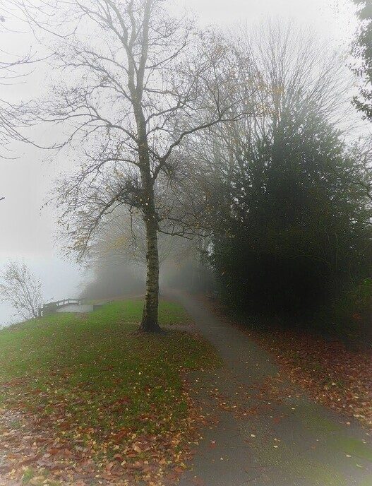 Wandelen in de mist geeft indrukwekkende foto’s - Foto: Femmie Smink