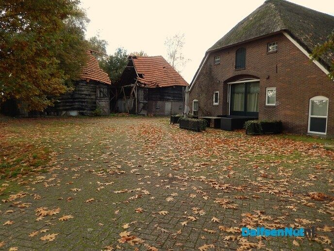 Vandaag op “Safari verkenning” - Foto: Willy