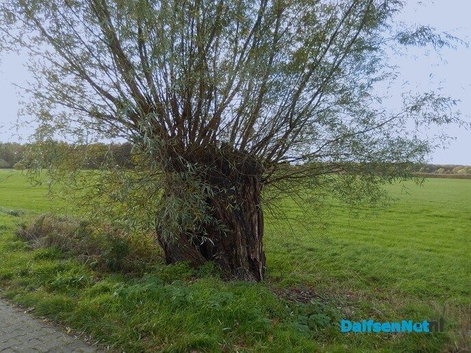 Vandaag op “Safari verkenning” - Foto: Willy
