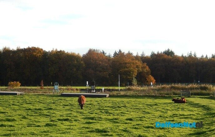 Vandaag op “Safari verkenning” - Foto: Willy