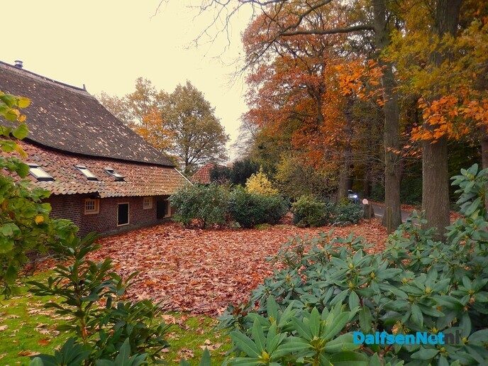Herfstbeelden nabij Den Aalshorst - Foto: Willy