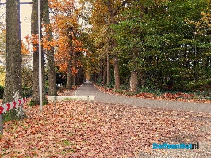 Herfstbeelden nabij Den Aalshorst - Foto: Willy