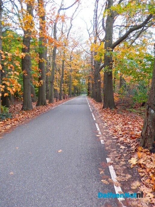 Herfstbeelden nabij Den Aalshorst - Foto: Willy
