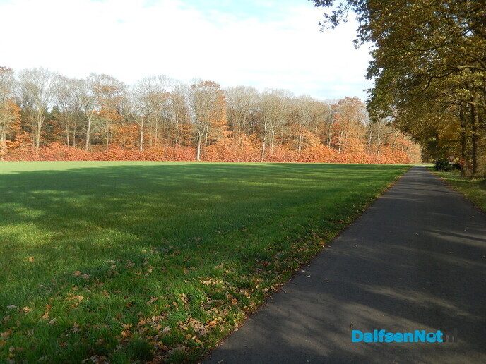 Zie de zon de boel kleuren - Foto: Willy