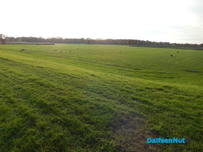 Natuur Rechterensedijk - Foto: Willy