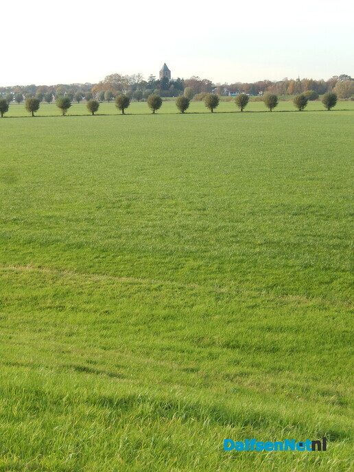 Natuur Rechterensedijk - Foto: Willy