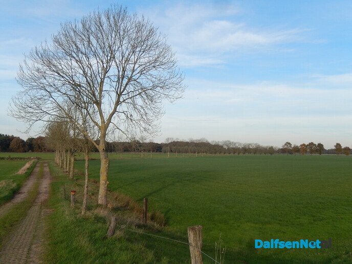 Natuur Rechterensedijk - Foto: Willy