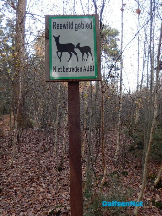 Natuur Rechterensedijk - Foto: Willy